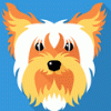 Bild von User1000