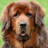 Bild von Sudoku-Favorit-682